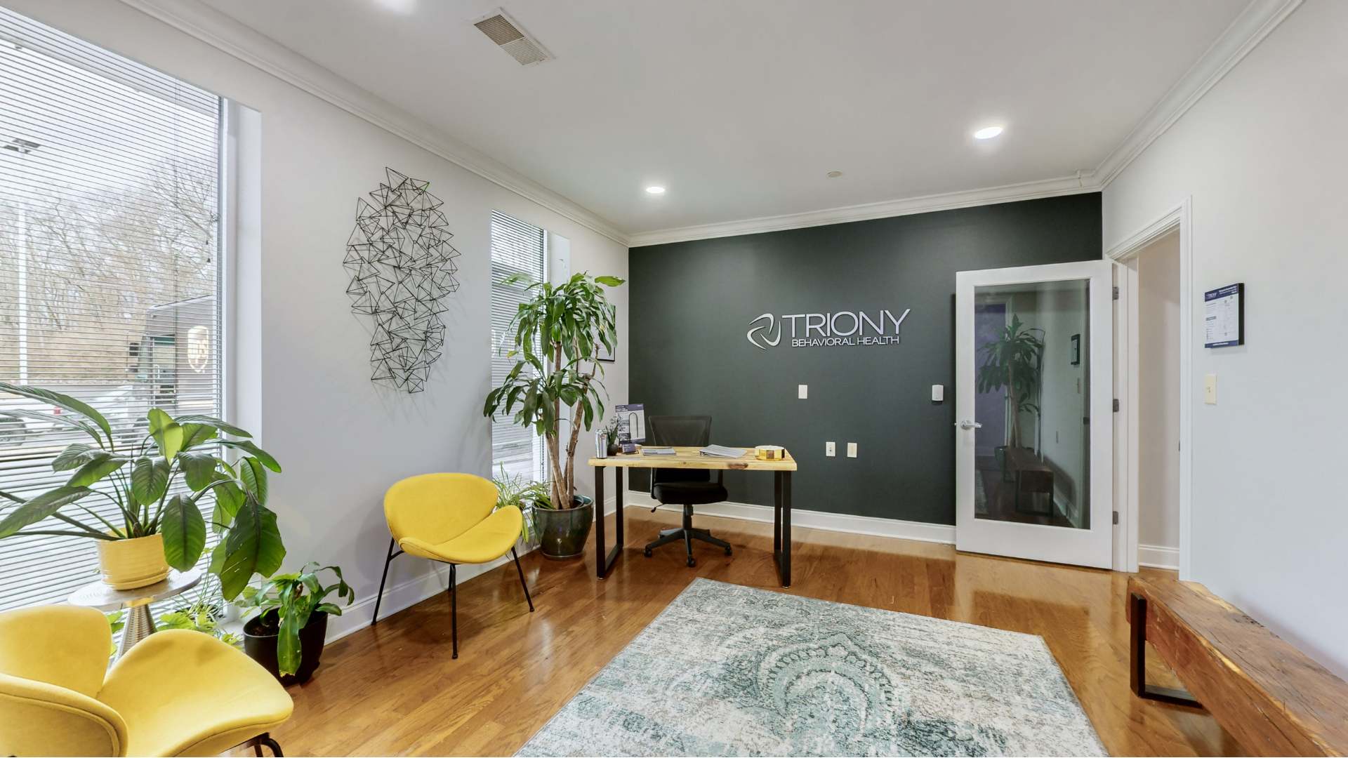 Triony Behavioral Health Clinic offering Borderline Personality Disorder treatment in Nashville