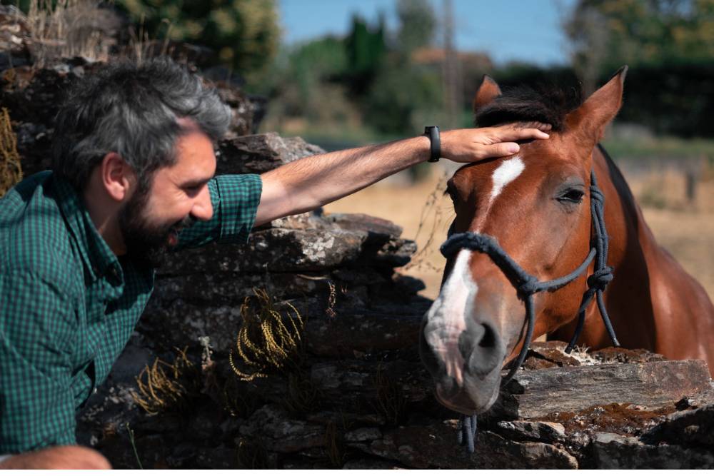 A man gently petting a horse outdoors, reflecting the calming and therapeutic benefits of Equine Therapy in Nashville.